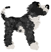 EC's Silver Chalice — “Benjamin”