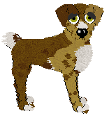 Tourniquet/Eli's Viva La Lida — “Lida”