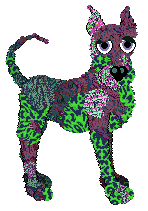 FH/Eli's Psychedelic Gorgon — “Snakehead”