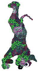 FH/Eli's Psychedelic Gorgon — “Snakehead”