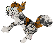 Calluna's Borrowed Sparksies @ Mockingbird — “Dopiaza”