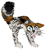 Calluna's Borrowed Sparksies @ Mockingbird — “Dopiaza”