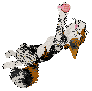 Calluna's Borrowed Sparksies @ Mockingbird — “Dopiaza”