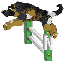 Zan/Poppyhill's Bodak Yellow — “Kodak”