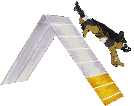 Zan/Poppyhill's Bodak Yellow — “Kodak”