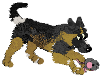 Zan/Poppyhill's Bodak Yellow — “Kodak”