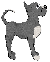 Profile image of Poppyhill's Lullaby Of Gray