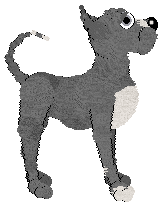 Poppyhill's Lullaby Of Gray — “Turnkey”