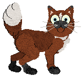 Calluna's Tanto Tempo — “Bebel”