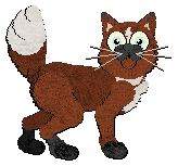 Profile image of Calluna's Tanto Tempo