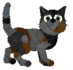 Krunchez Superstar Singer — “Laisel”