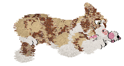 Come Bye's Ambrosius — “Ambrose”