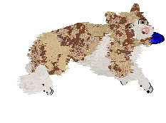 Come Bye's Ambrosius — “Ambrose”