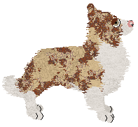 Come Bye's Ambrosius — “Ambrose”