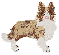 Come Bye's Ambrosius — “Ambrose”