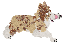 Come Bye's Ambrosius — “Ambrose”