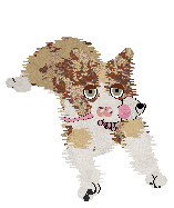 Come Bye's Ambrosius — “Ambrose”