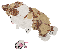 Come Bye's Ambrosius — “Ambrose”