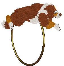 Come Bye's Cassiopeia — “Cassie”