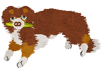 Come Bye's Cassiopeia — “Cassie”