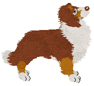 Come Bye's Cassiopeia — “Cassie”