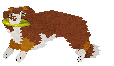 Come Bye's Cassiopeia — “Cassie”