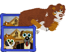 Come Bye's Cassiopeia — “Cassie”