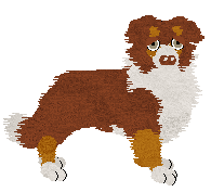 Profile image of Come Bye's Cassiopeia