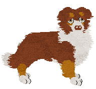 Come Bye's Cassiopeia — “Cassie”