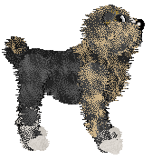 Spellbound's Another Day Another Sheepie — “Lapland Rosebay”