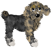 Profile image of Spellbound's Another Day Another Sheepie