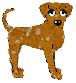 Profile image of NSP/Tangled's Fall From Grace