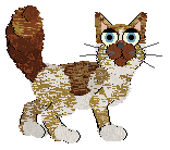 Spellbound/FDL's Hokkaido Squash — “Red Kuri”