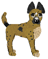 Funfetti's That One Star Wars Actor — “Keanu”