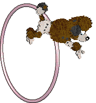 Xoops/Witz's Spangled Starlight Sheen — “Titania”