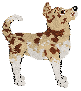 LeeC's On the Mountain — “Cota”