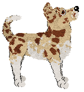 Profile image of LeeC's On the Mountain