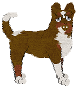 Profile image of Insanity's/NSP's A Wild One