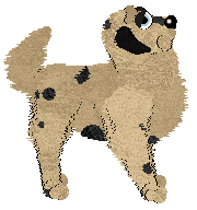 Sz/Wild Road's Miza Yuri at APK — “Hikaru”