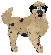 Sz/Wild Road's Miza Yuri at APK — “Hikaru”