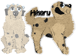 Profile image of Sz/Wild Road's Miza Yuri at APK