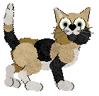 Witz/Calluna's Lost in the Bewilderness — “Boone”