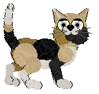 Witz/Calluna's Lost in the Bewilderness — “Boone”