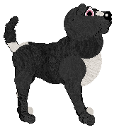 FDL's Sacred Waters — “Jordanne”