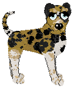 Profile image of Tea/King's Desert Disguise