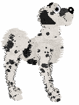 Poppyhill/Daisychain's Magic and Whimsy — “Itachi”