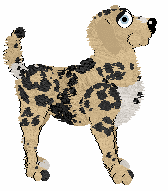 Daisychain's First Flowers of Spring — “Freyalise”