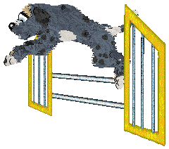 Bec's Whiteout Warning at Cirrutopia — “Blizz”