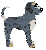 Bec's Whiteout Warning at Cirrutopia — “Blizz”