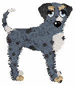 Bec's Whiteout Warning at Cirrutopia — “Blizz”